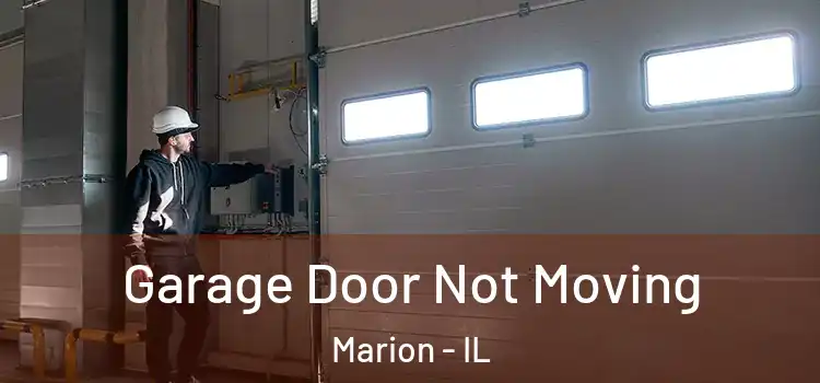  Garage Door Not Moving Marion - IL